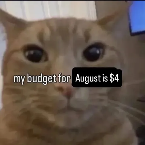 Cat Has Four Dollar Budget