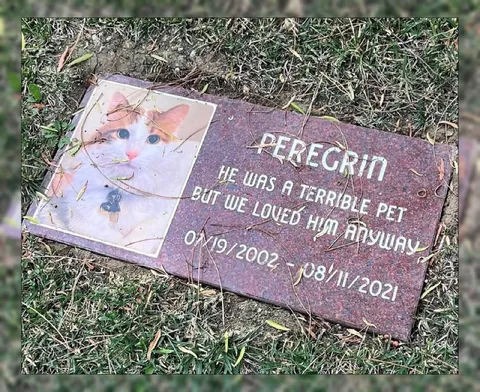 Terrible Pet, Loved Anyway