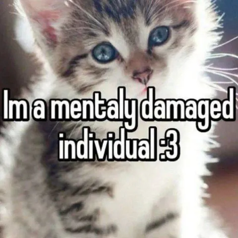 Mentally Damaged Kitten