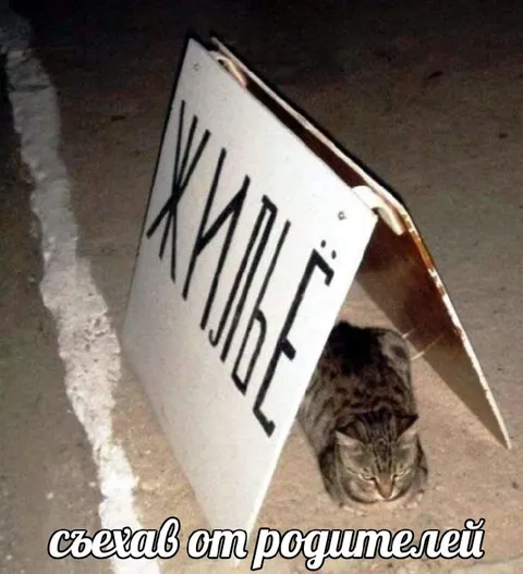 Съехал от родителей