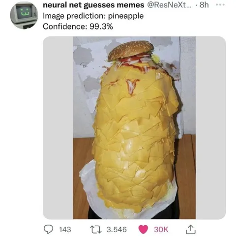 Neural Net Predicts Pineapple Burger