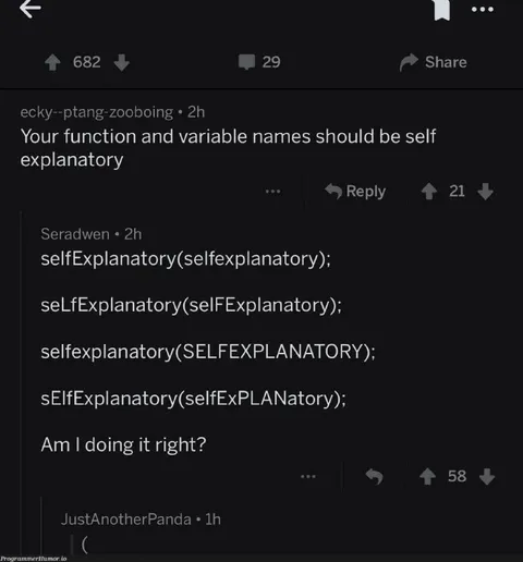 Self-Explanatory Variable Names