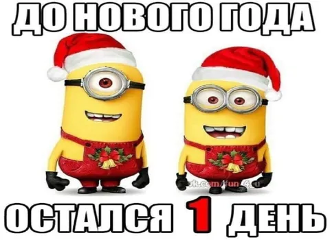 До Нового года остался день