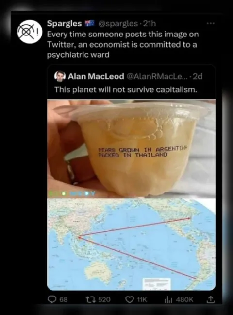 Pears Travel Around the World