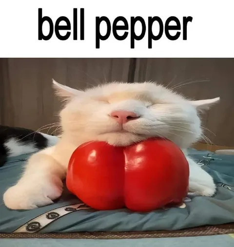 Cat With Bell Peppers