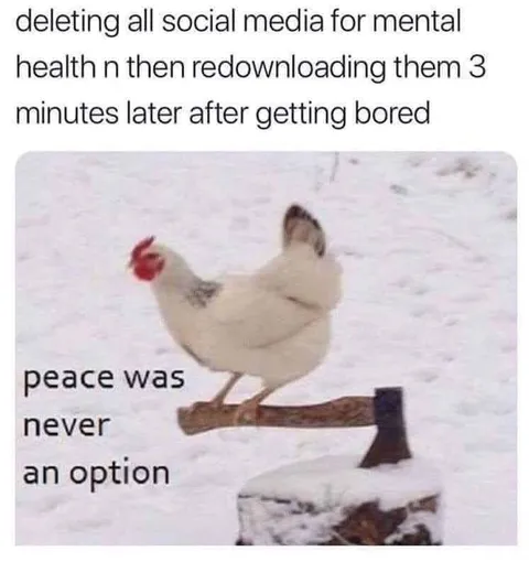 Deleting Social Media for Mental Health
