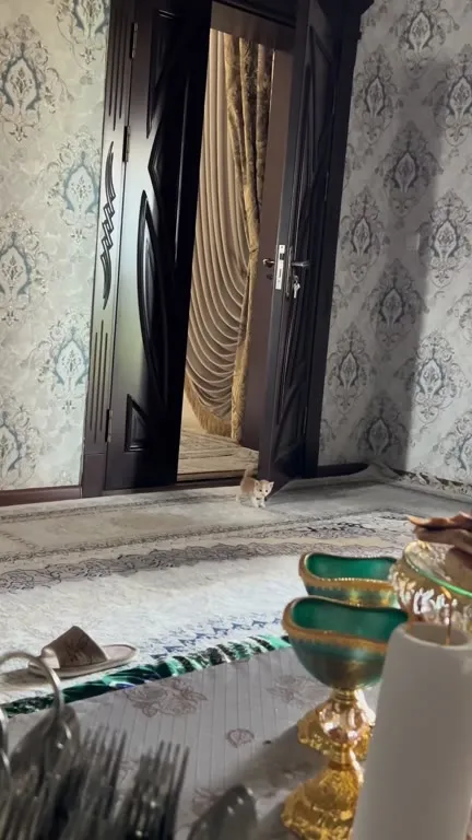 Котёнок выходит к праздничному столу