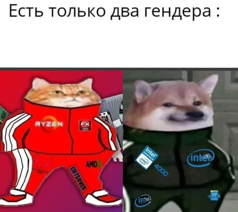 Всего два гендера процессоров