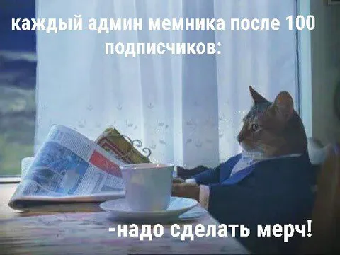 Админ после ста подписчиков
