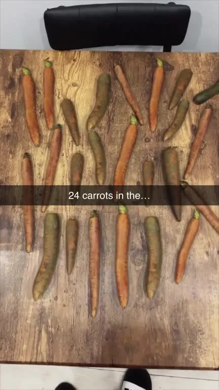 24 Carrots in the Air