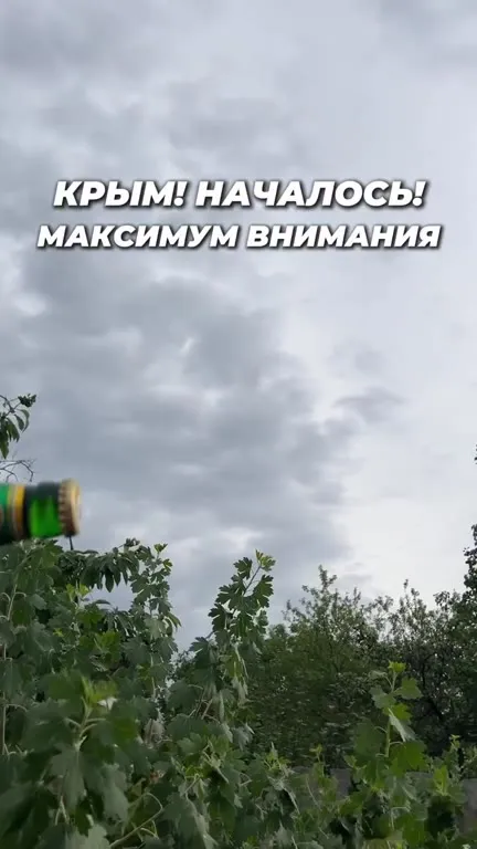 Крым началось — максимум внимания