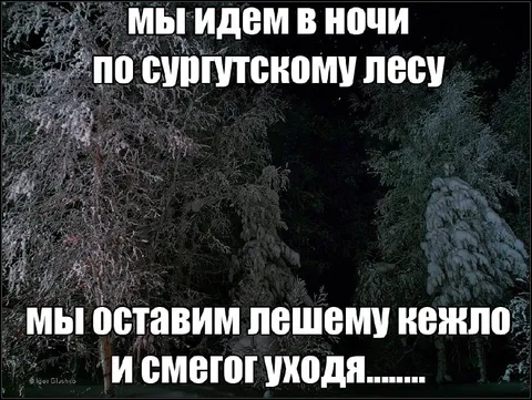 Ночная прогулка по Сургутскому лесу