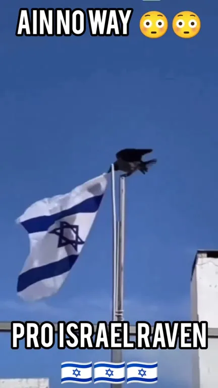 Pro-Israel Raven Claims the Flag