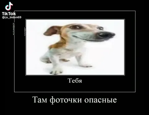 Ссылко еб*ное с фанатами