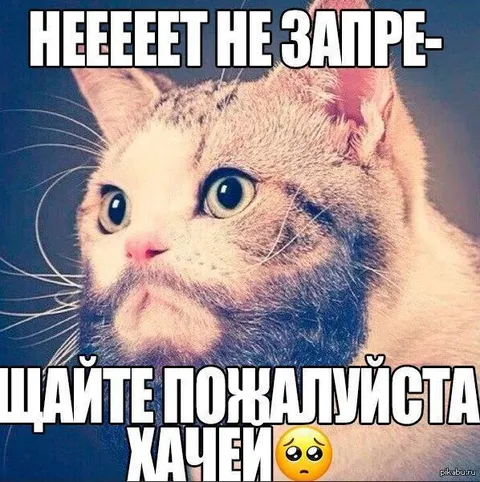 Не запрещайте хачи