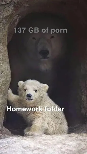Porn Hidden in Homework Folder