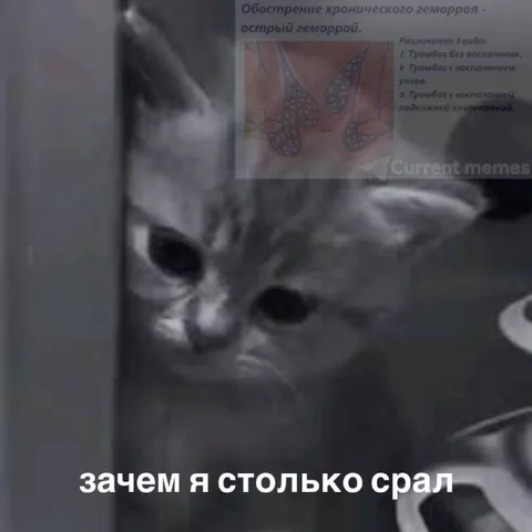 Зачем я столько срал