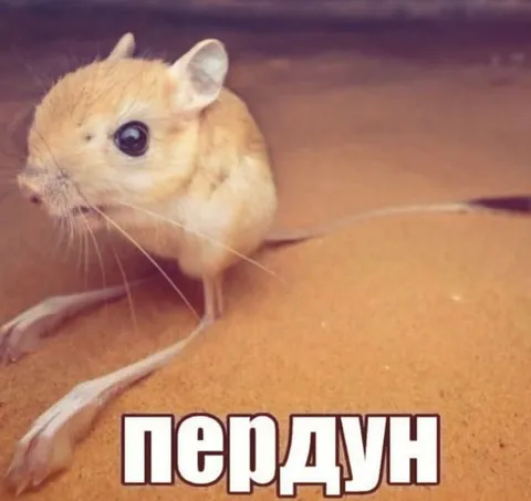 Мышь с большими лапами