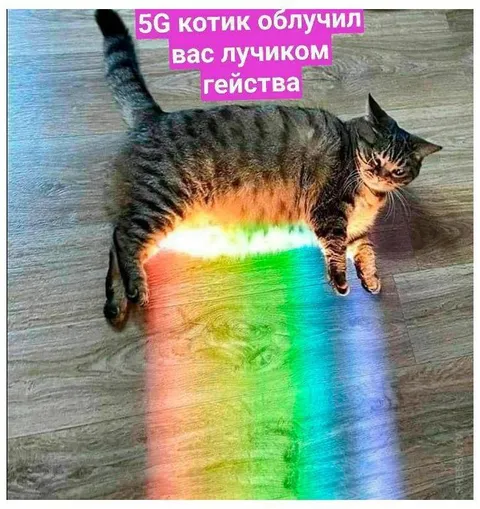5G котик облучил вас лучиком