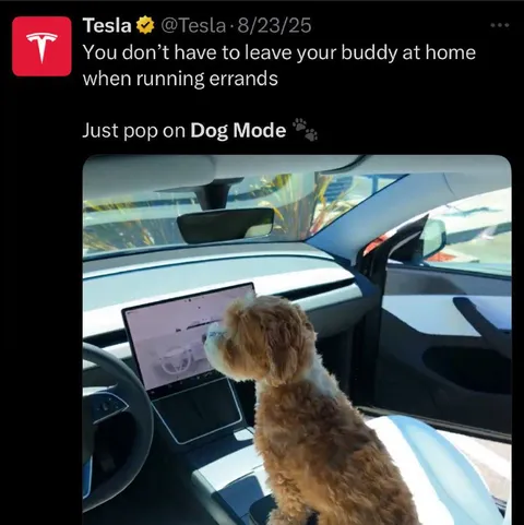 Tesla Dog Mode Errands