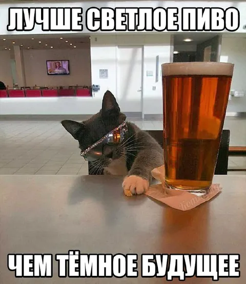 Лучше светлое пиво