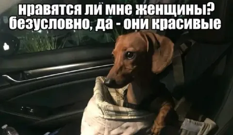 Нравятся ли мне женщины