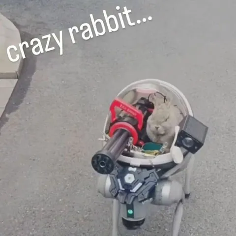 Crazy Rabbit in Spacecraft