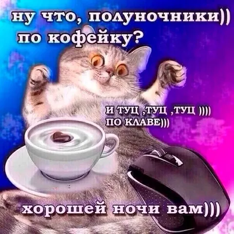 Кот-полуночник за компьютером
