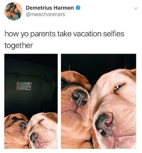 How Parents Take Vacation Selfies