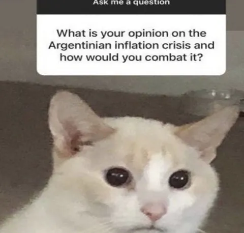 Cat Asked About Argentine Inflation