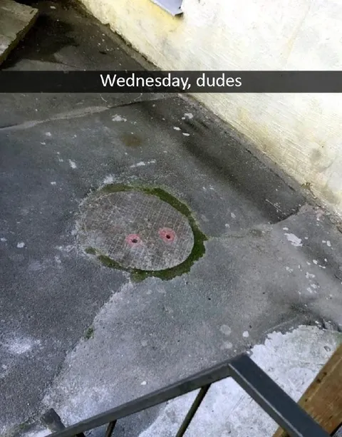 Wednesday Dudes Puddle Face