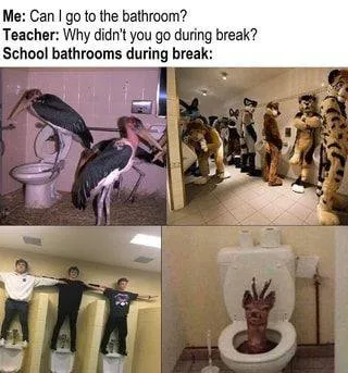 School Bathrooms During Break