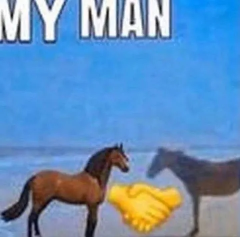 My Man Horse Handshake