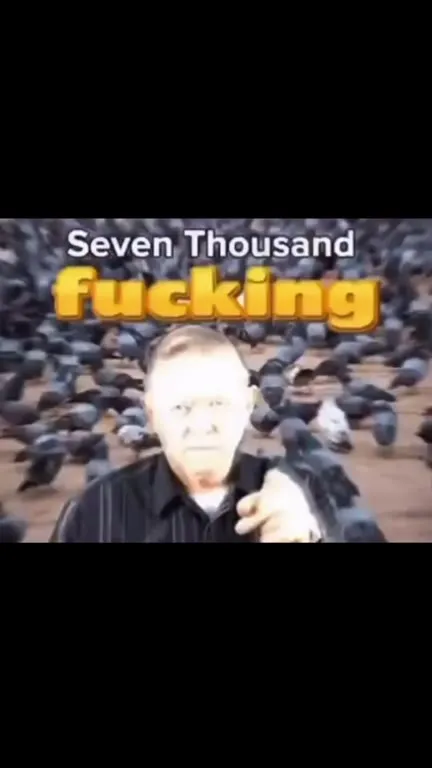 Seven Thousand Fucking Pigeons