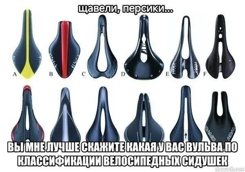 Вульва по классификации велосидушек