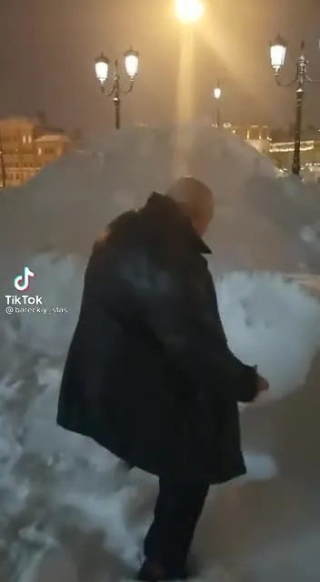 Пельмень в снегу