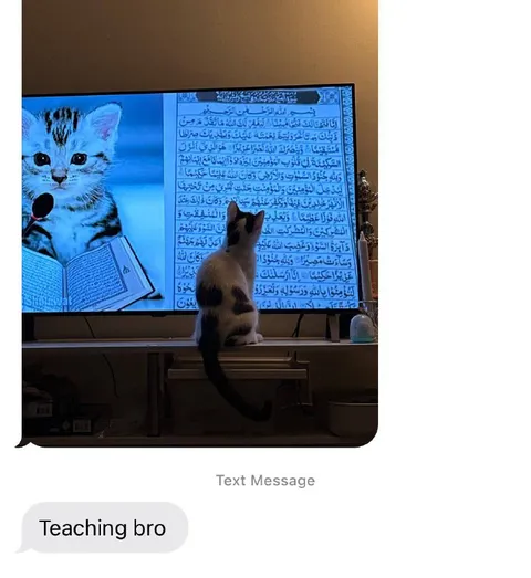 Teaching Bro the Quran