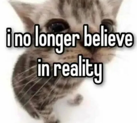 I No Longer Believe in Reality