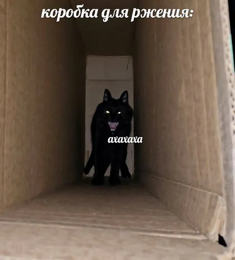 Коробка для ржения