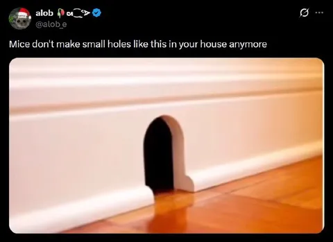 Mice Don’t Make Small Holes