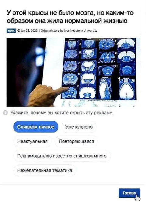 Крыса без мозга живёт нормально