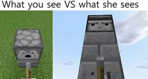 What You See vs What She Sees