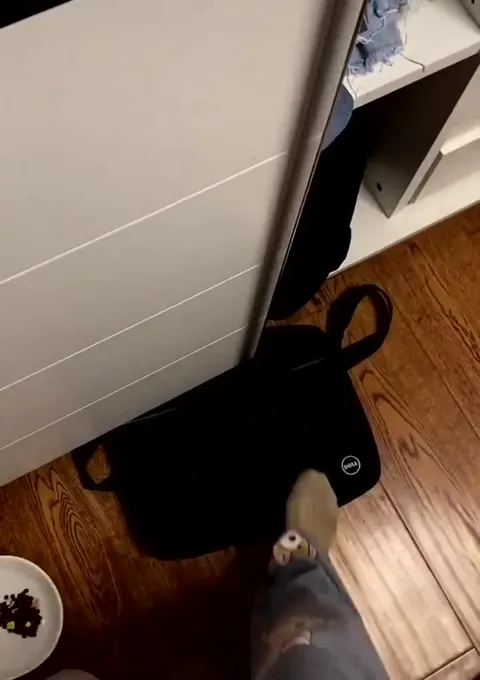 寻找黑色物品大作战