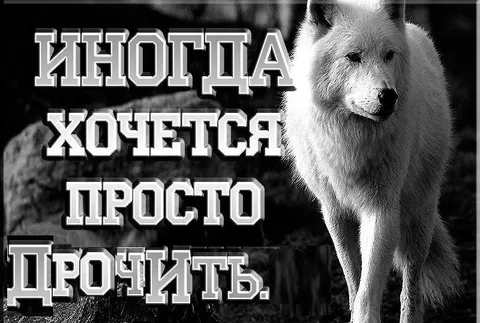 Иногда хочется просто пройти