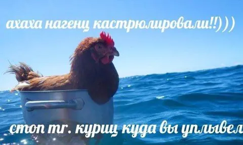Курица в кастрюле плывёт