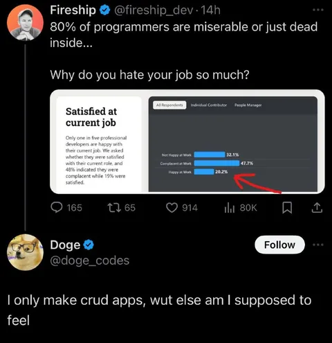 Programmers Hate Their Jobs