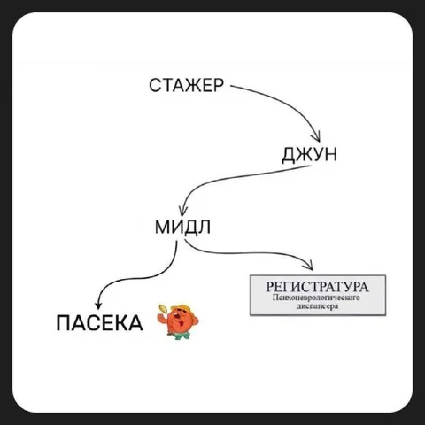 Карьерный путь до пасеки