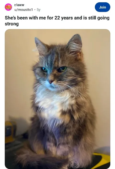 22 Years and Still Going Strong
