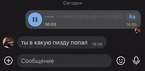 Голосовое на 35 секунд