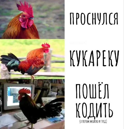 Проснулся и пошёл кодить